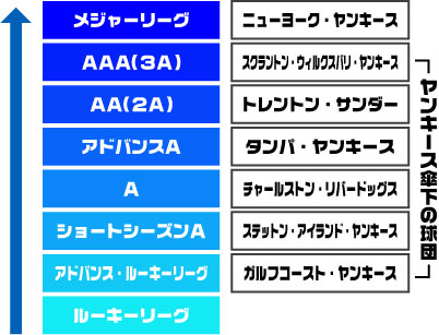 ニューヨーク・ヤンキース組織図